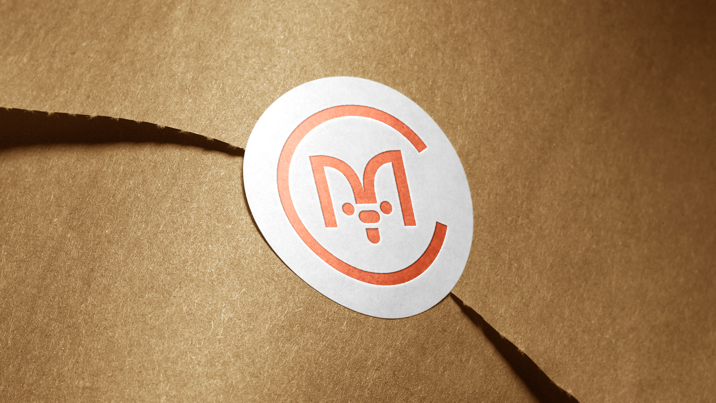 МОНЯ СНЭК — Изображение №8 — Брендинг на Dprofile