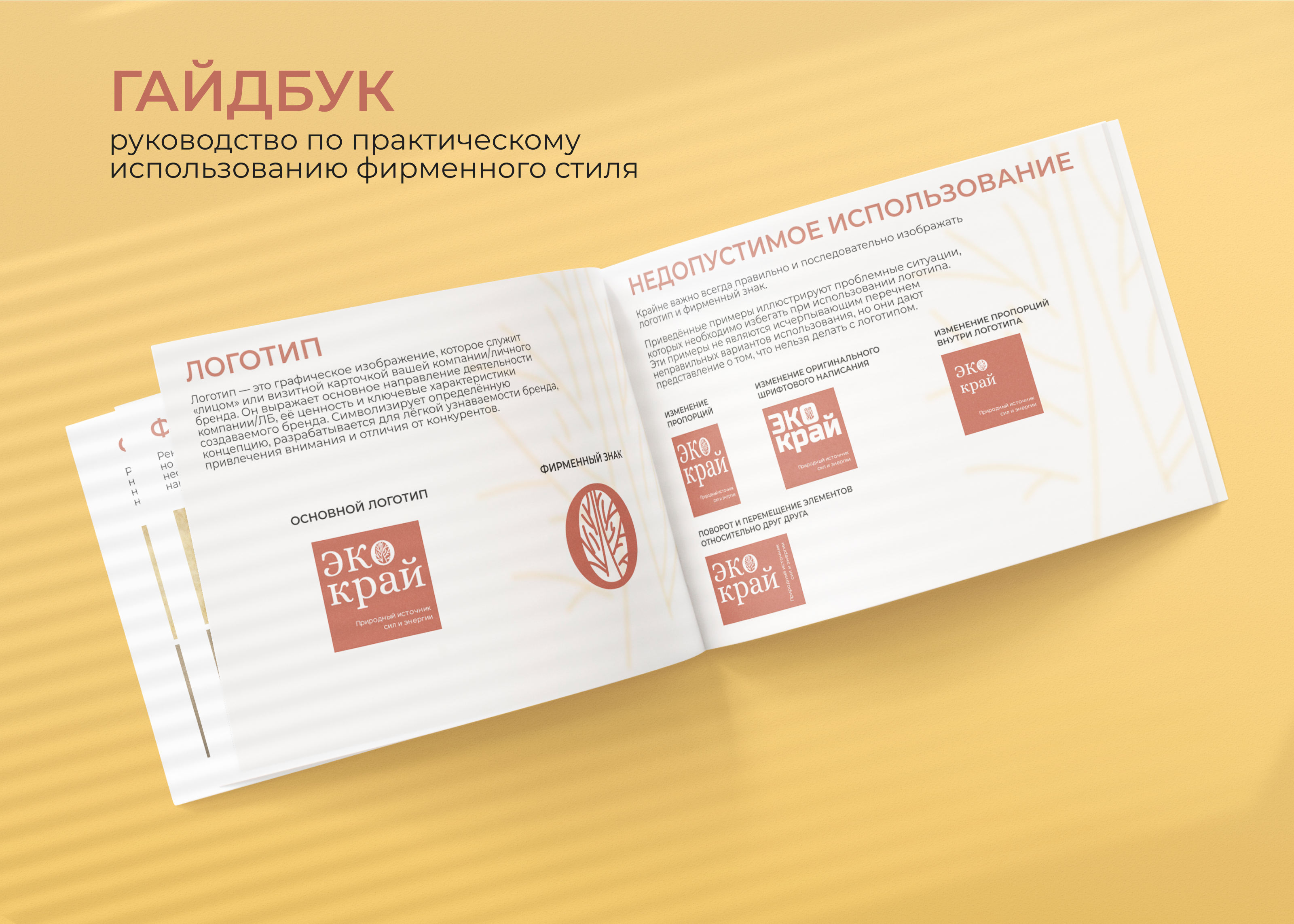 Фирменный стиль бренда | Натуральные ЭКО продукты — Изображение №2 — Брендинг на Dprofile