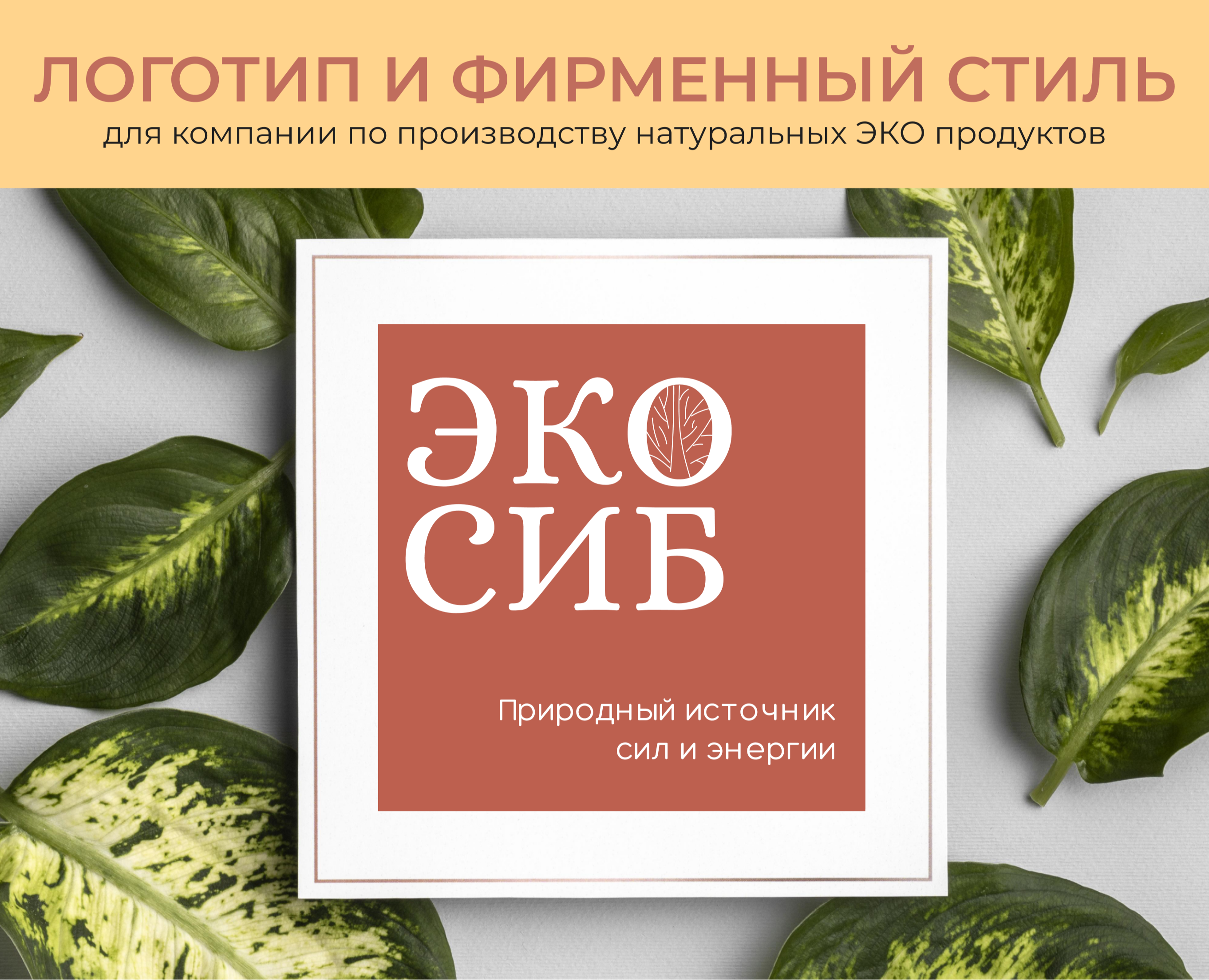 Фирменный стиль бренда | Натуральные ЭКО продукты — Брендинг на Dprofile