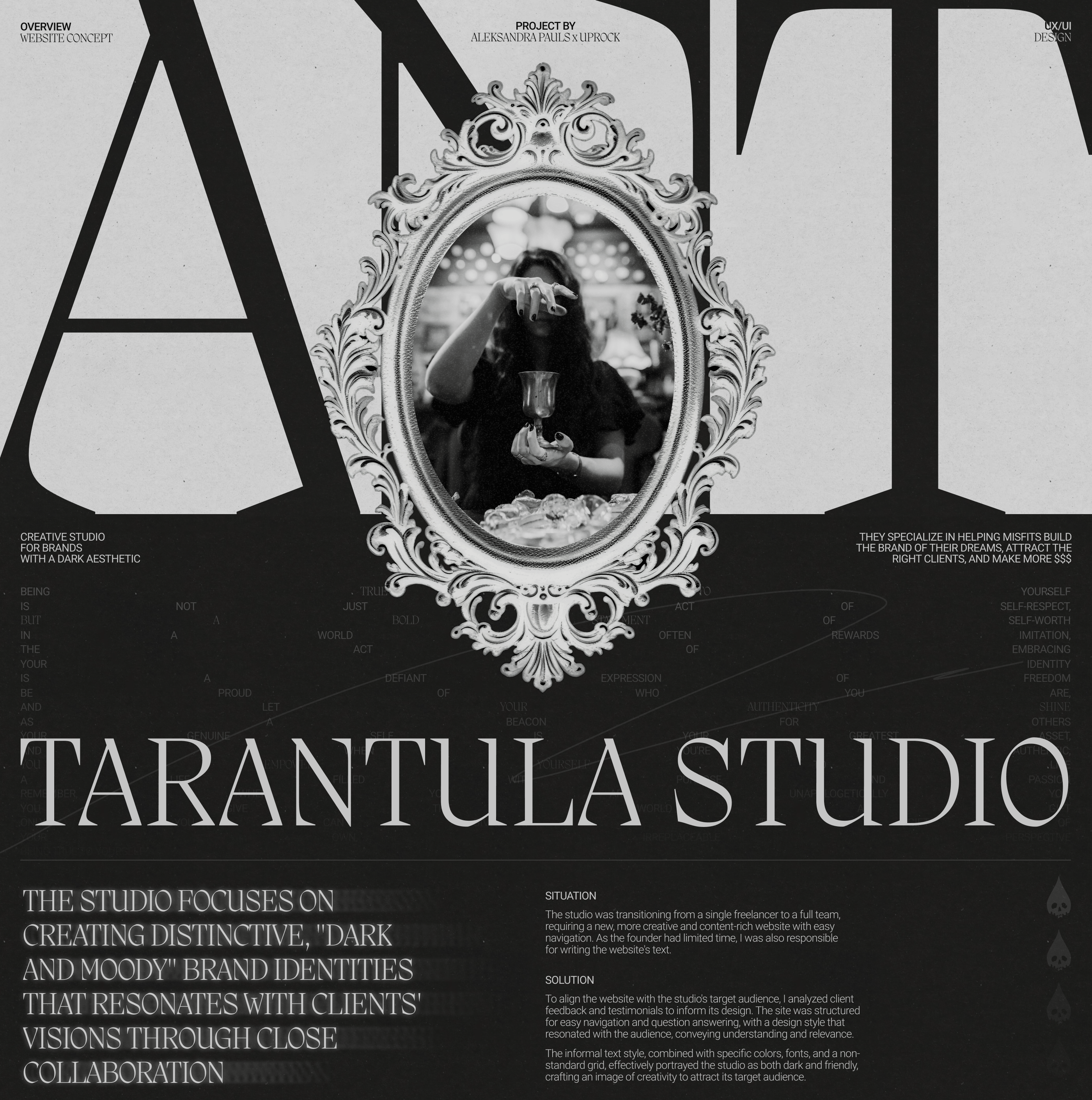 Tarantula Studio — Изображение №1 — Интерфейсы на Dprofile