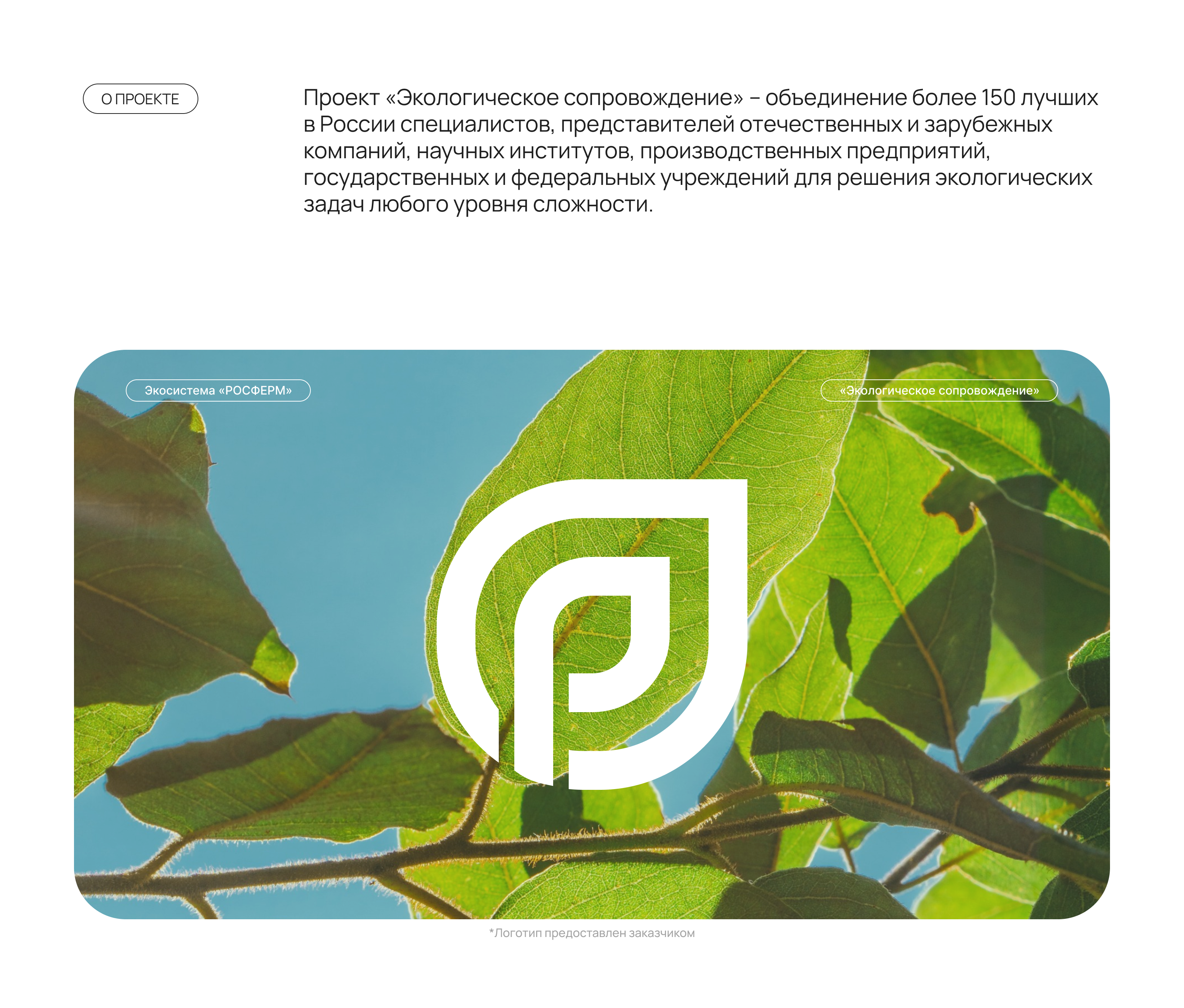 Экологическое сопровождение | Редизайн — Изображение №2 — Интерфейсы на Dprofile