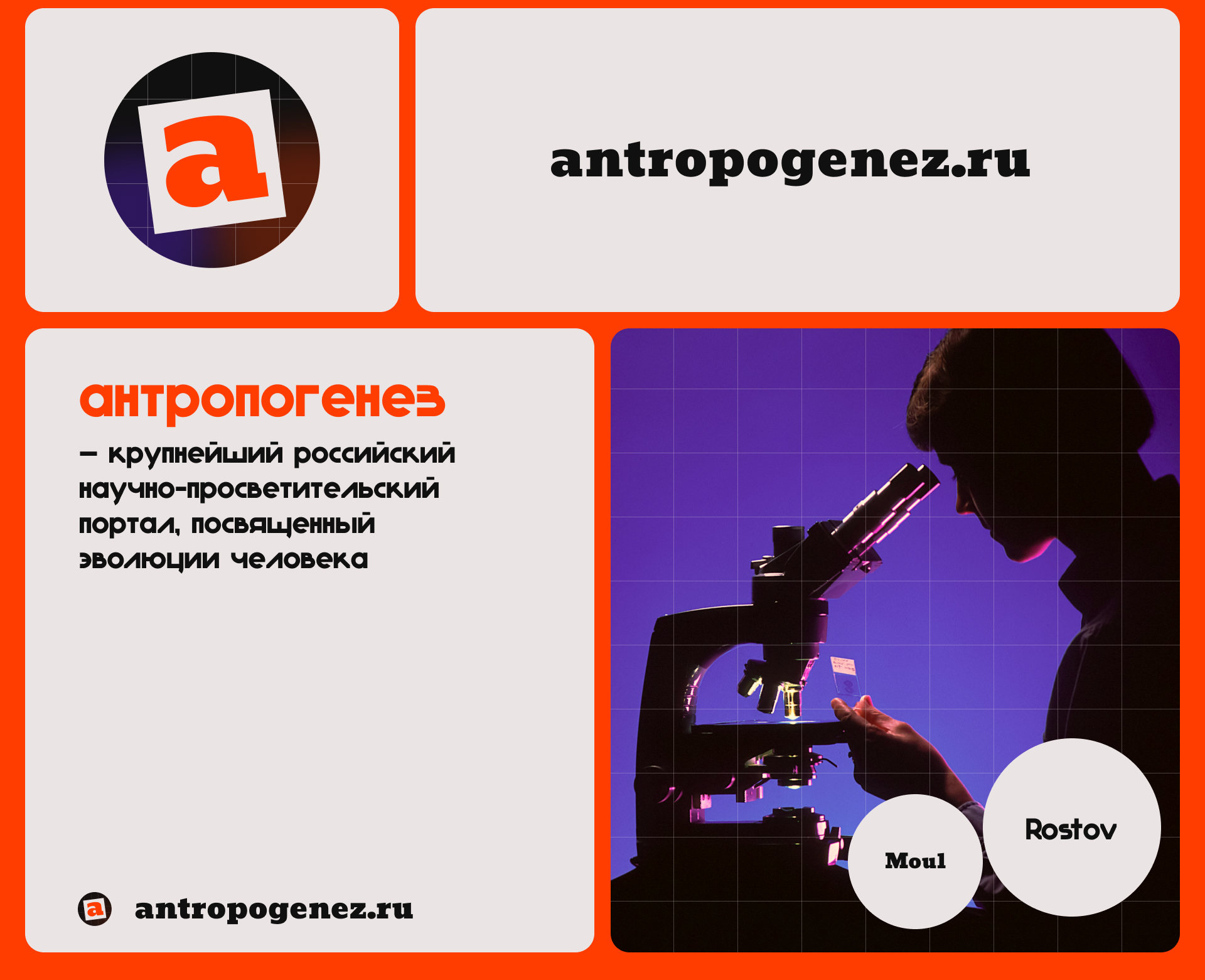 АНТРОПОГЕНЕЗ | айдентика | лендинг — Изображение №1 — Брендинг на Dprofile