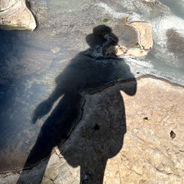 Аватар пользователя Елена Семёнова