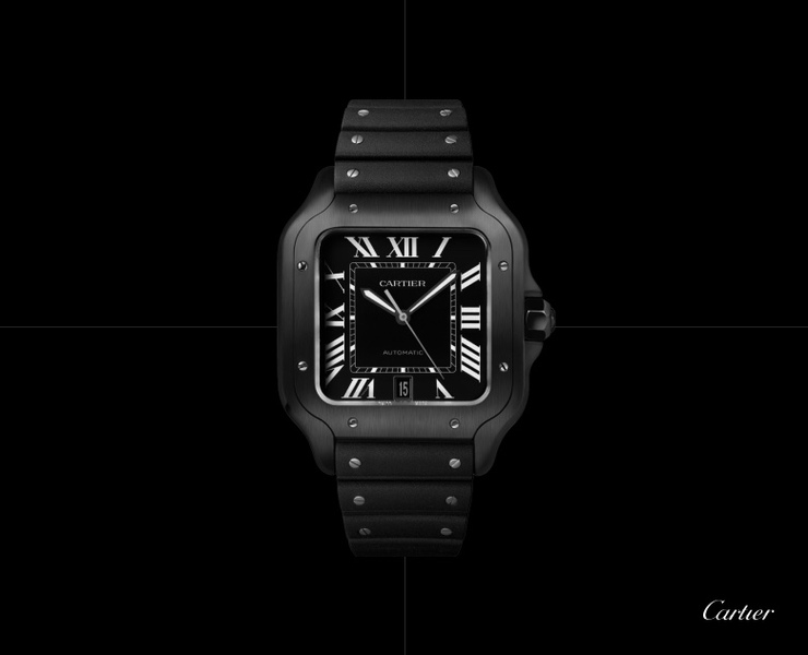 Cartier (watches Ukraine) — Интерфейсы на Dprofile