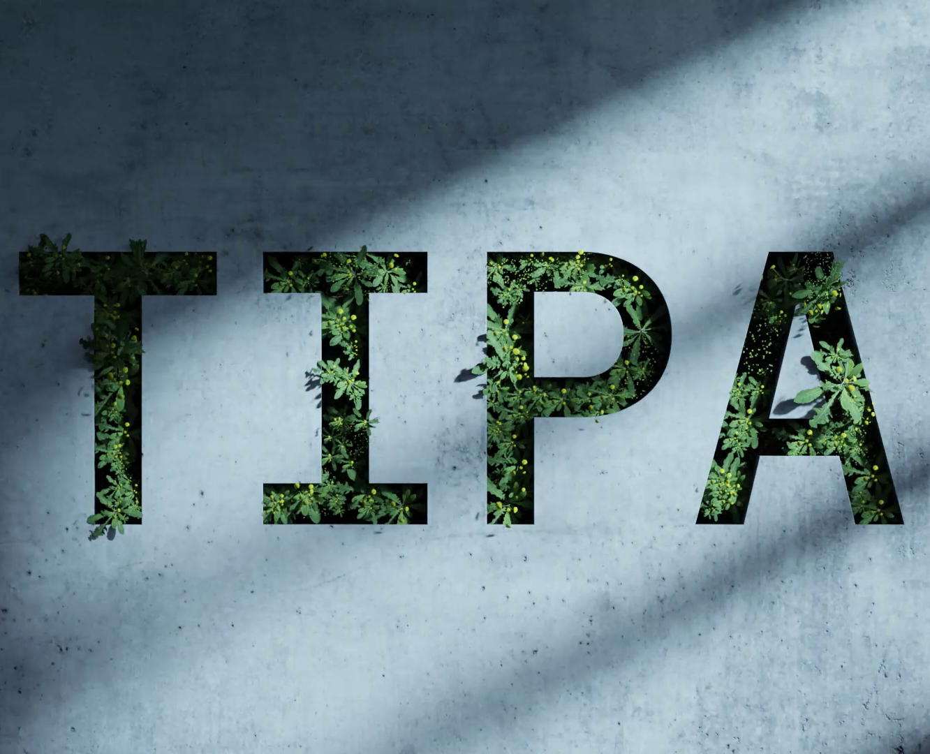 TIPA Design — 3D, Анимация на Dprofile