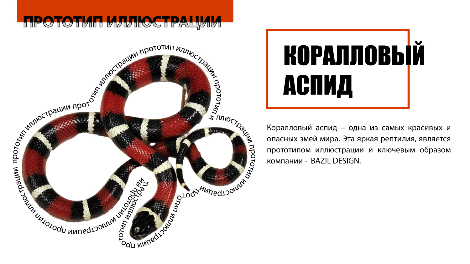 Мерч для компании BAZIL design — Изображение №2 — Брендинг на Dprofile