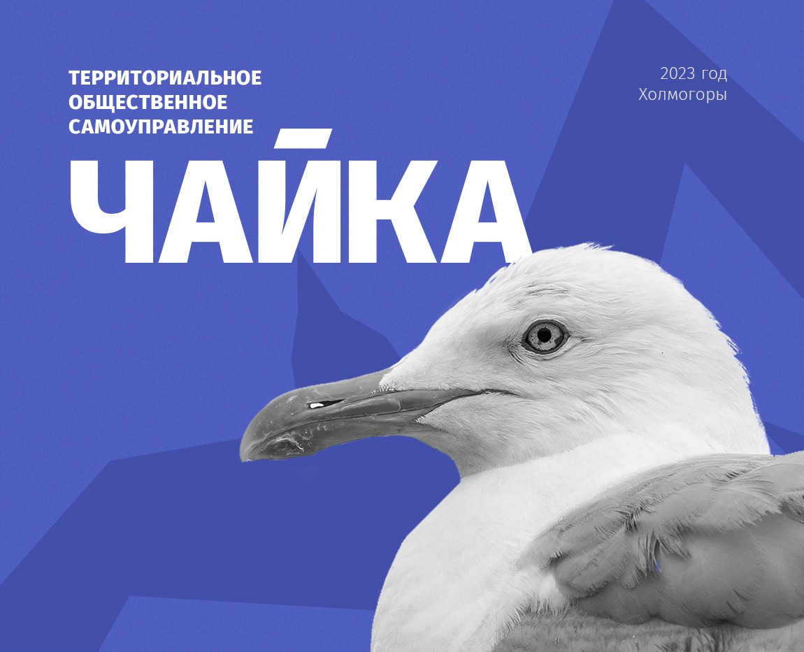 Дизайн логотипа ТОС «Чайка» — Брендинг на Dprofile