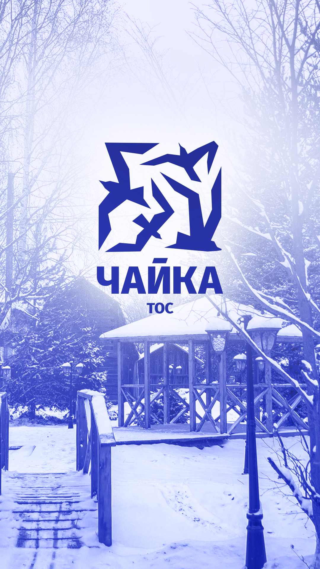 Дизайн логотипа ТОС «Чайка» — Изображение №7 — Брендинг на Dprofile