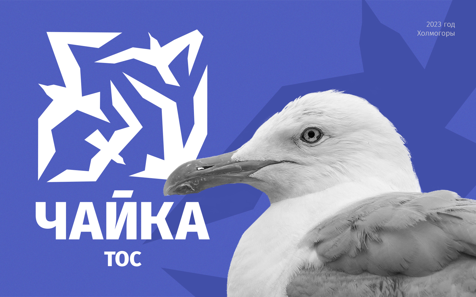 Дизайн логотипа ТОС «Чайка» — Изображение №1 — Брендинг на Dprofile