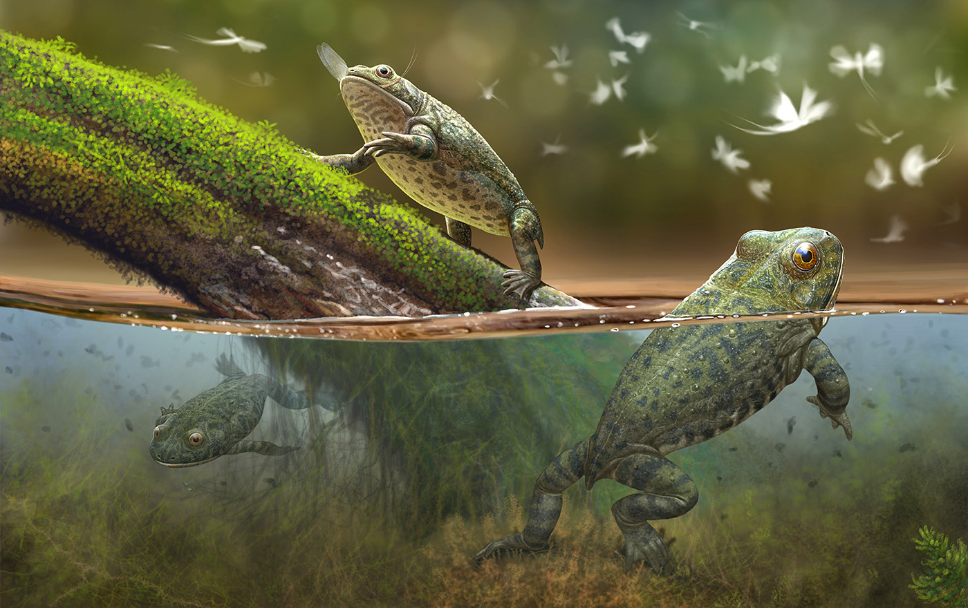 Эволюция жизни в океане — Изображение №3 — Иллюстрация на Dprofile