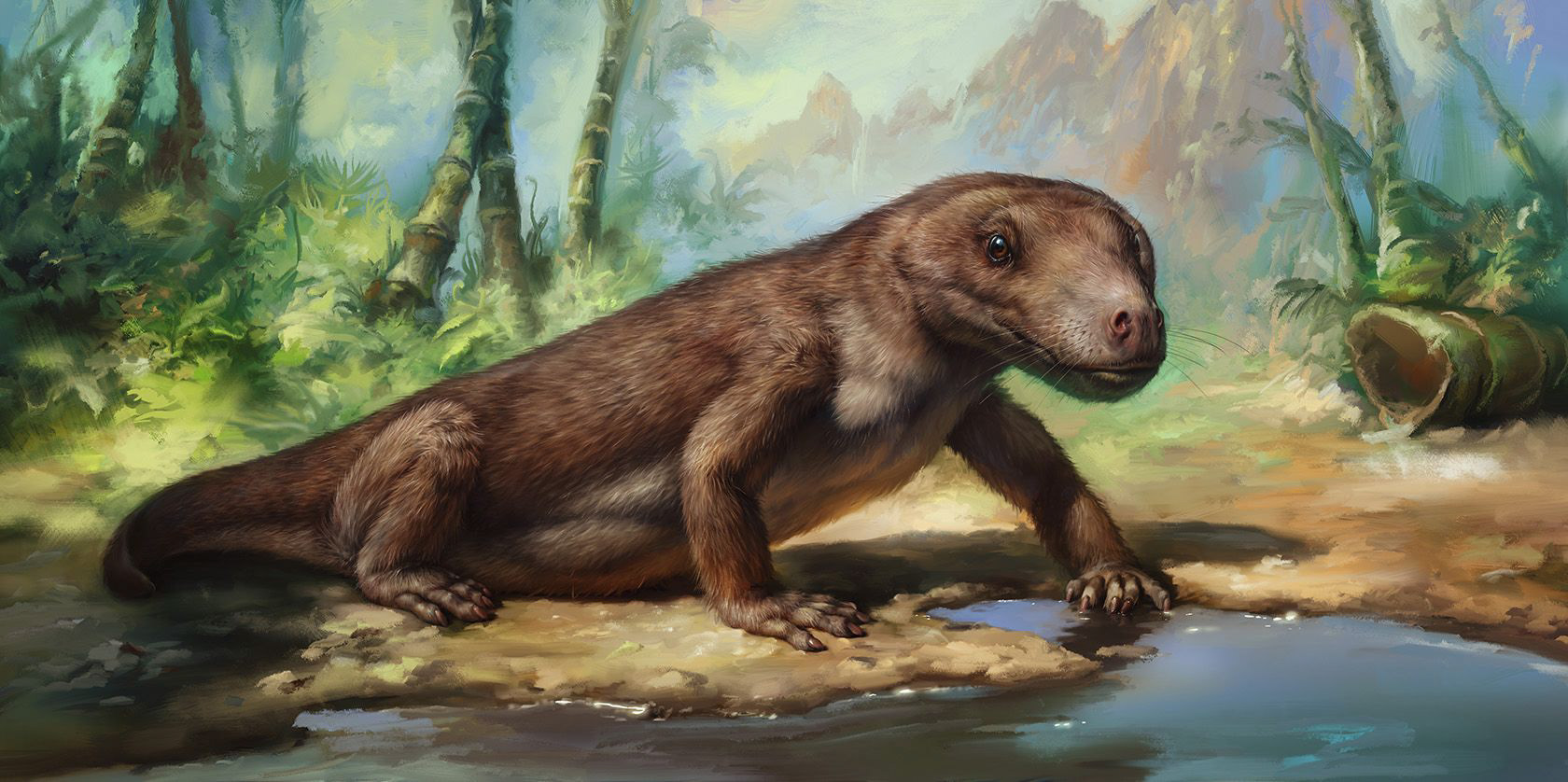 Эволюция жизни в океане — Изображение №34 — Иллюстрация на Dprofile