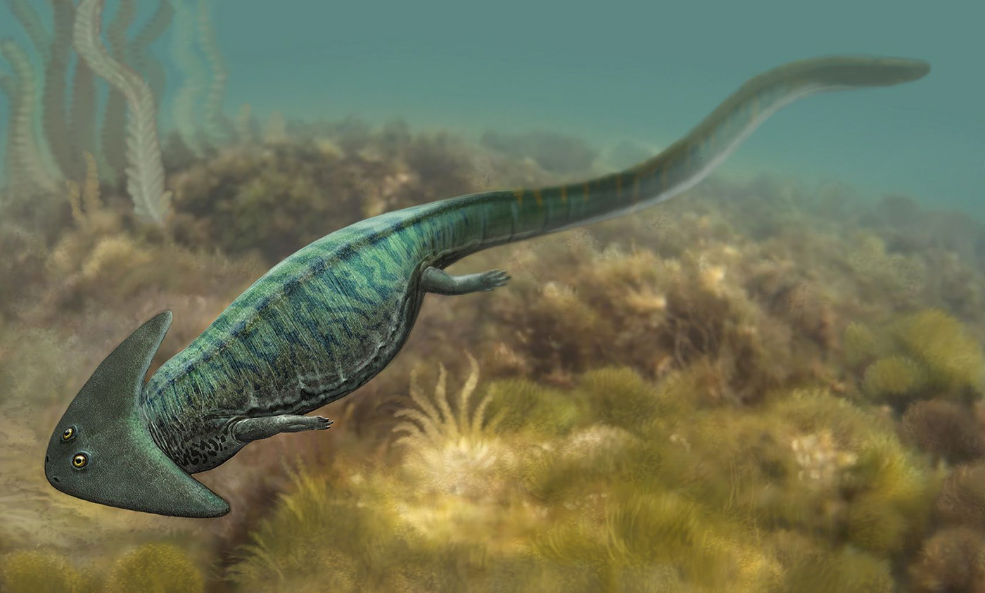 Эволюция жизни в океане — Изображение №17 — Иллюстрация на Dprofile