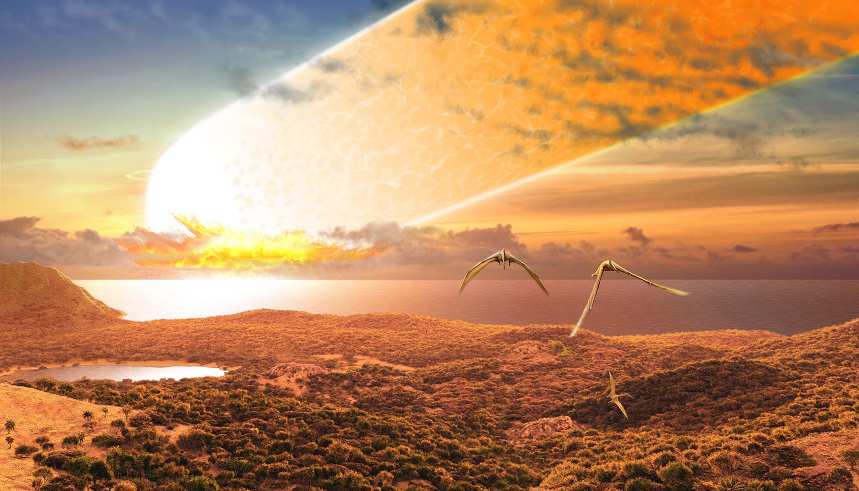 Эволюция жизни в океане — Изображение №1 — Иллюстрация на Dprofile