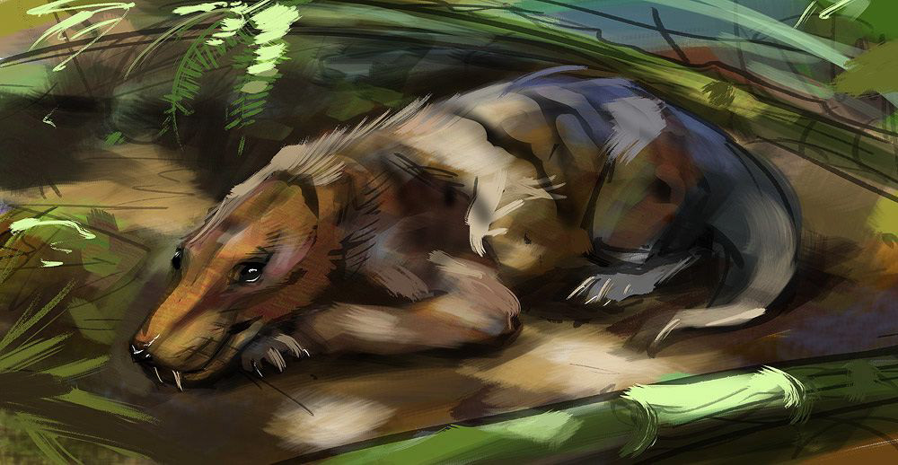 Эволюция жизни в океане — Изображение №26 — Иллюстрация на Dprofile