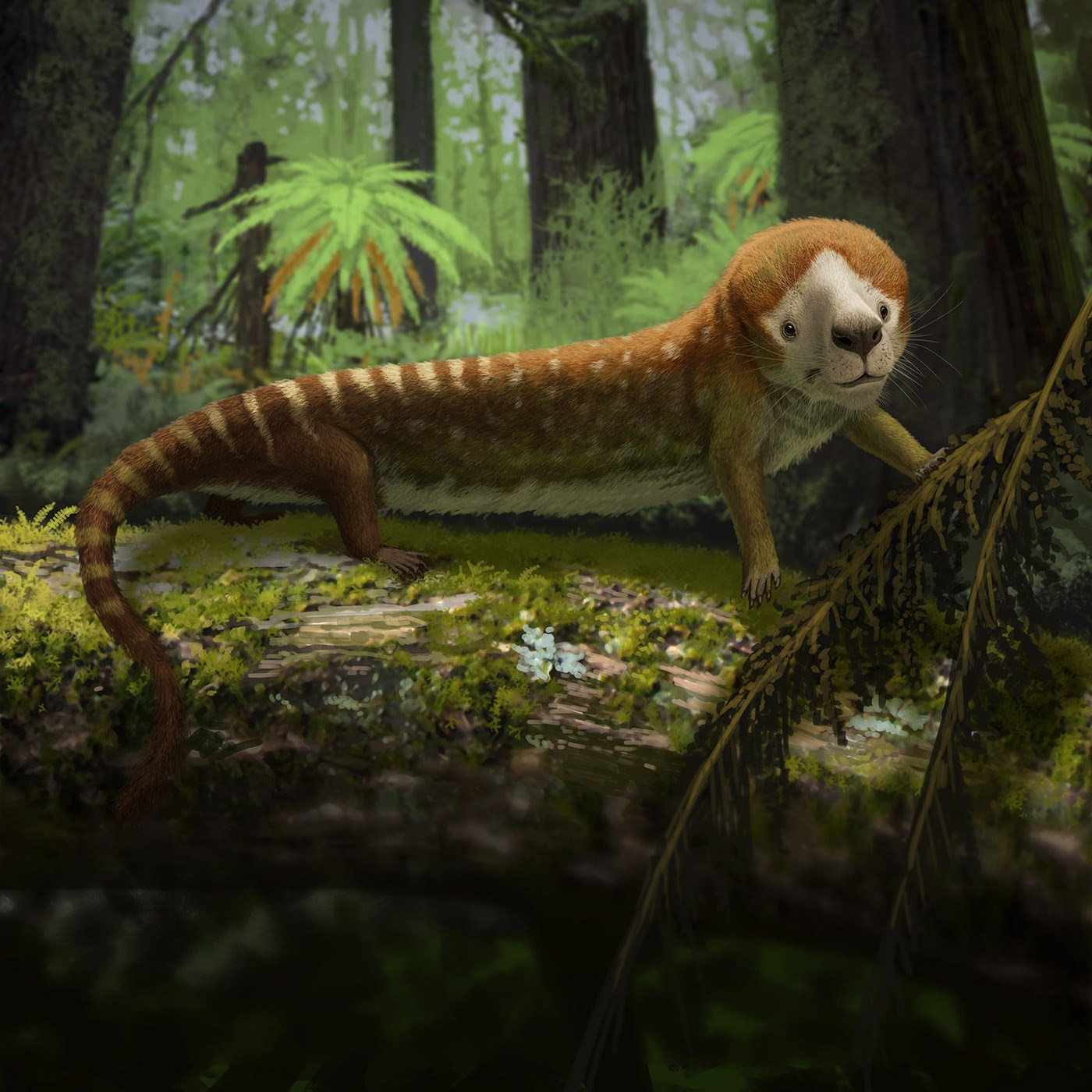 Эволюция жизни в океане — Изображение №6 — Иллюстрация на Dprofile