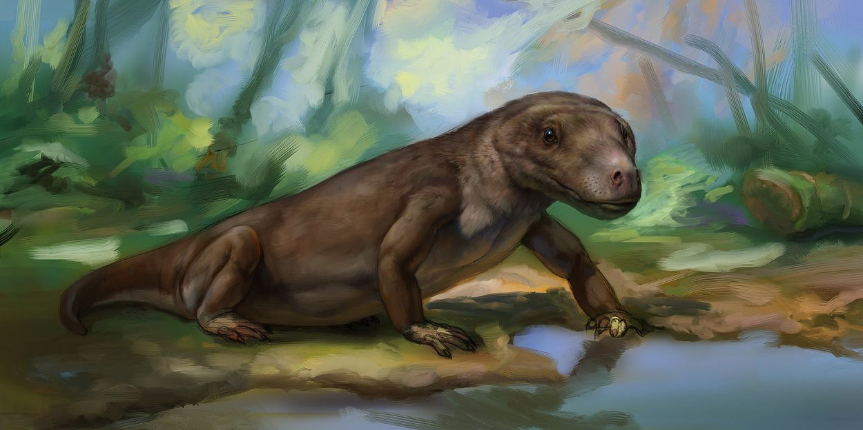 Эволюция жизни в океане — Изображение №32 — Иллюстрация на Dprofile