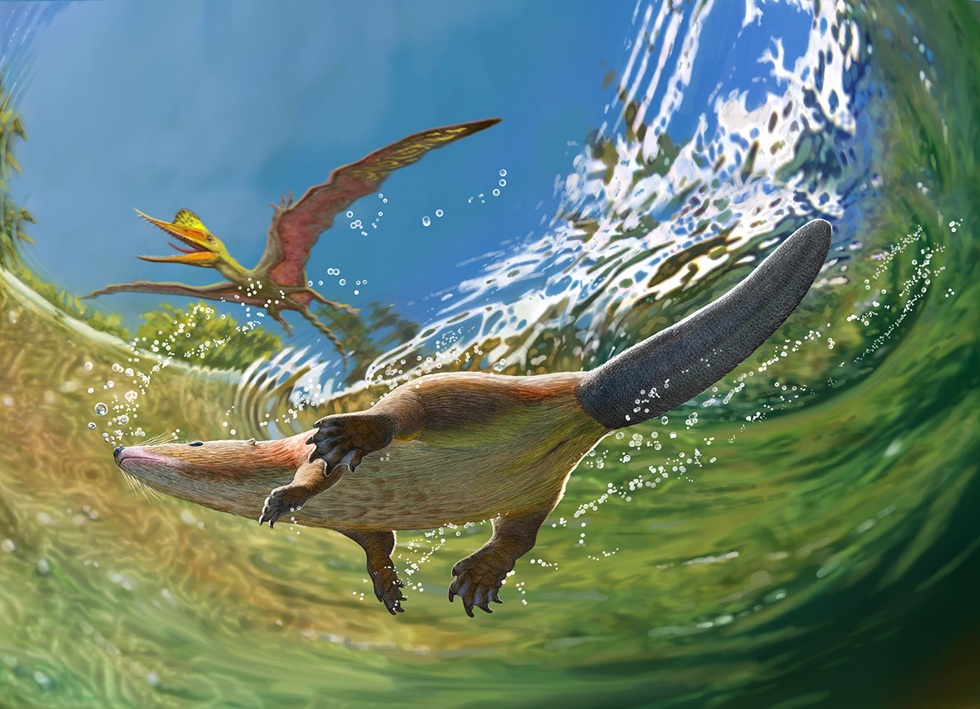 Эволюция жизни в океане — Изображение №19 — Иллюстрация на Dprofile