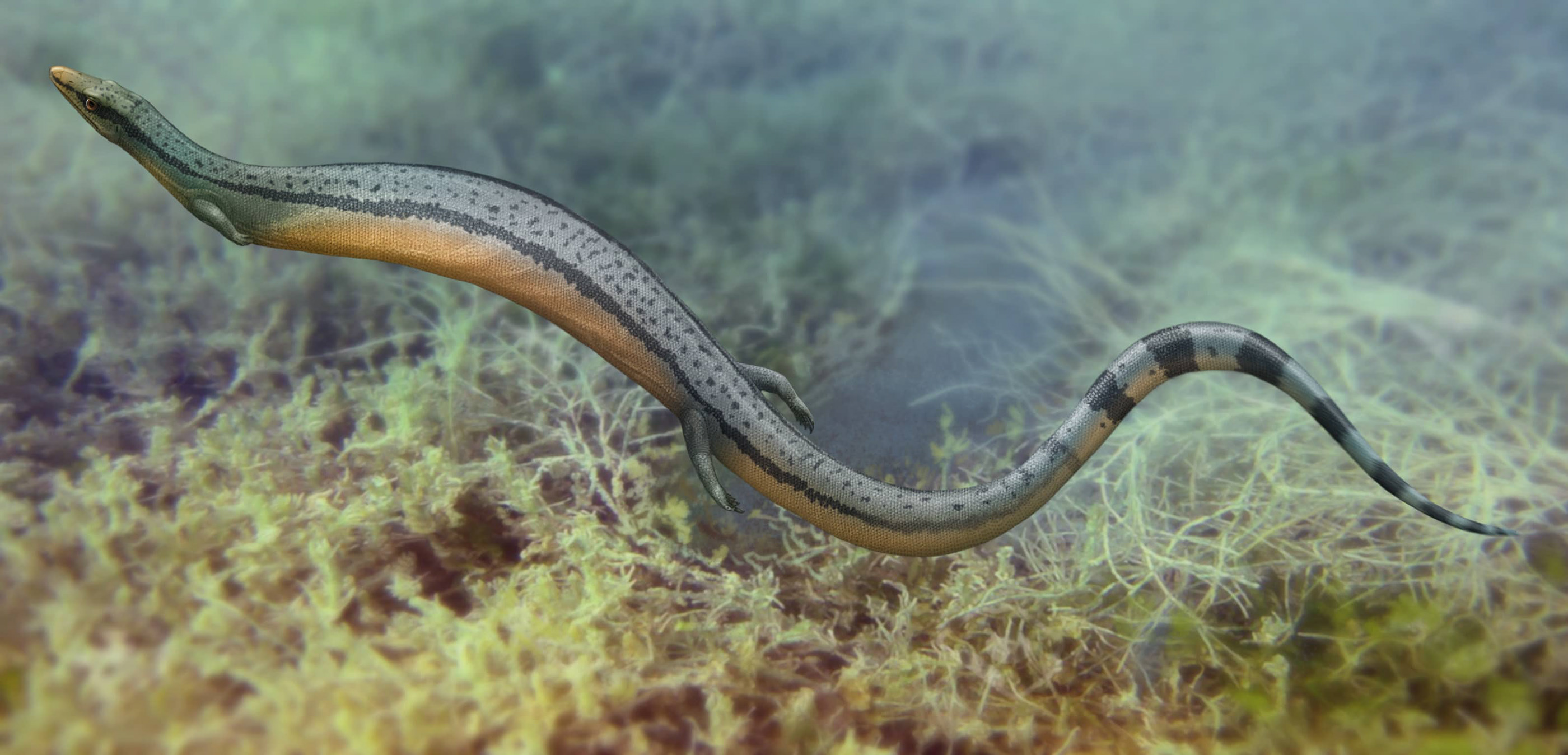 Эволюция жизни в океане — Изображение №13 — Иллюстрация на Dprofile