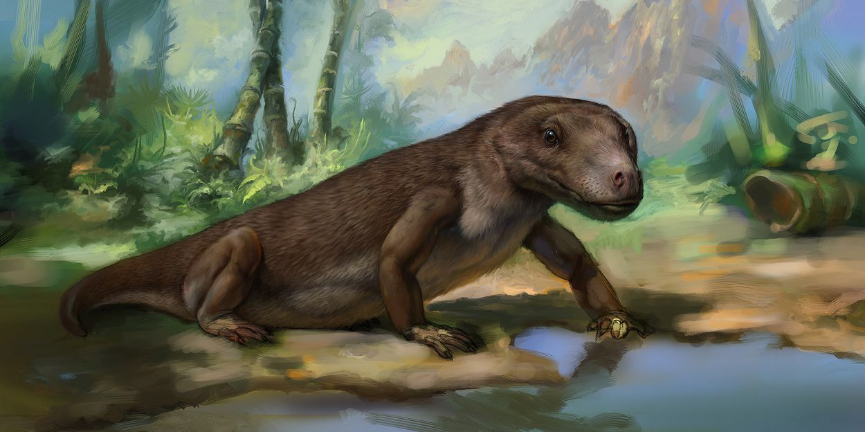 Эволюция жизни в океане — Изображение №33 — Иллюстрация на Dprofile