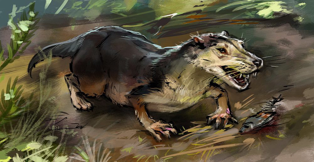 Эволюция жизни в океане — Изображение №27 — Иллюстрация на Dprofile