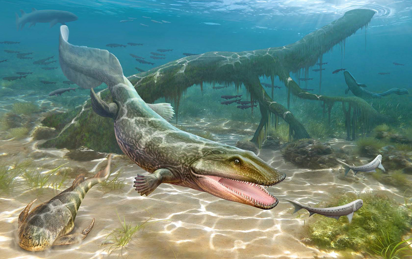 Эволюция жизни в океане — Изображение №14 — Иллюстрация на Dprofile