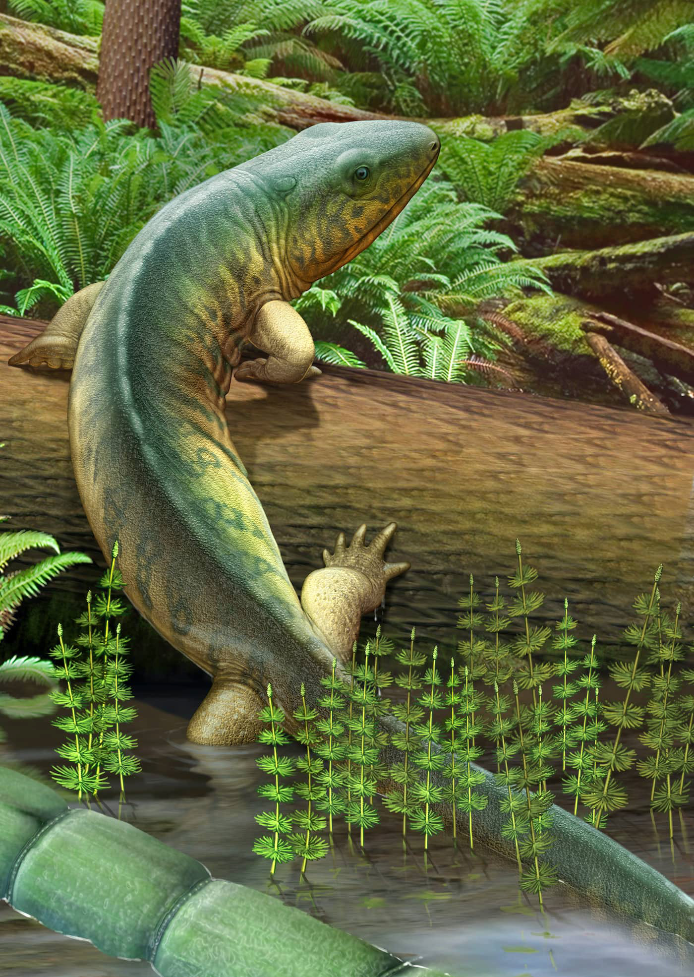 Эволюция жизни в океане — Изображение №11 — Иллюстрация на Dprofile