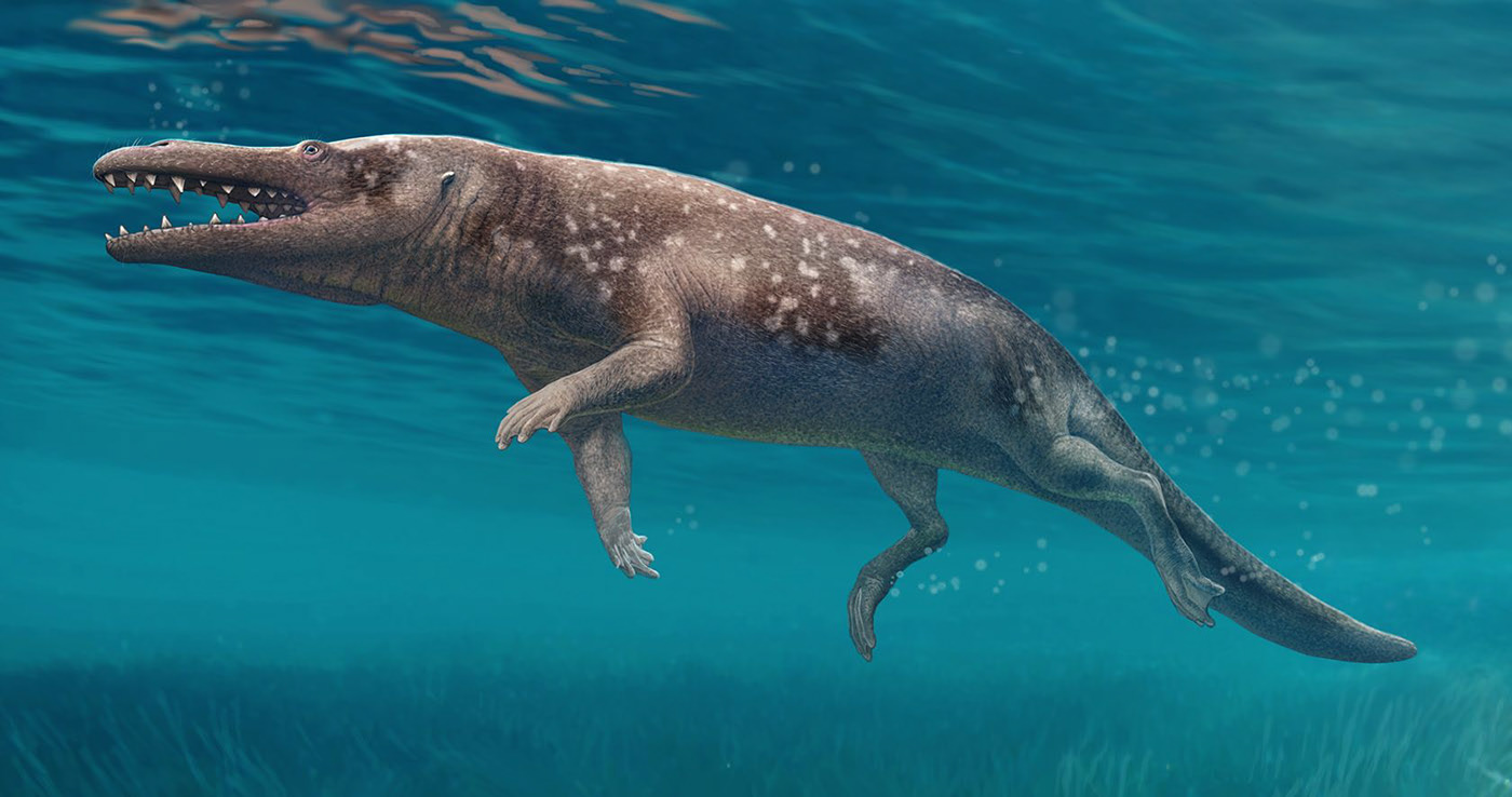 Эволюция жизни в океане — Изображение №15 — Иллюстрация на Dprofile