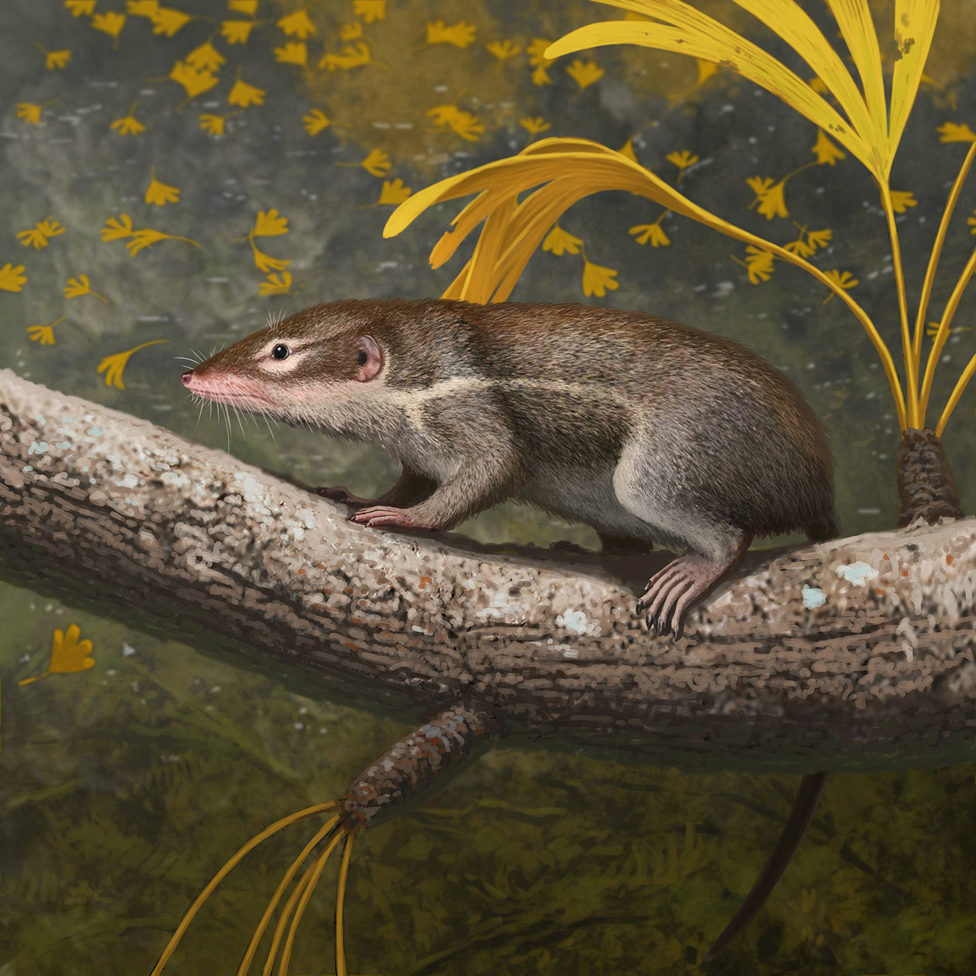 Эволюция жизни в океане — Изображение №4 — Иллюстрация на Dprofile