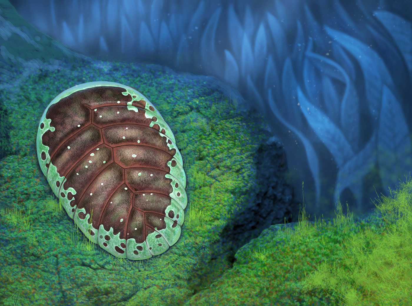 Эволюция жизни в океане — Изображение №10 — Иллюстрация на Dprofile