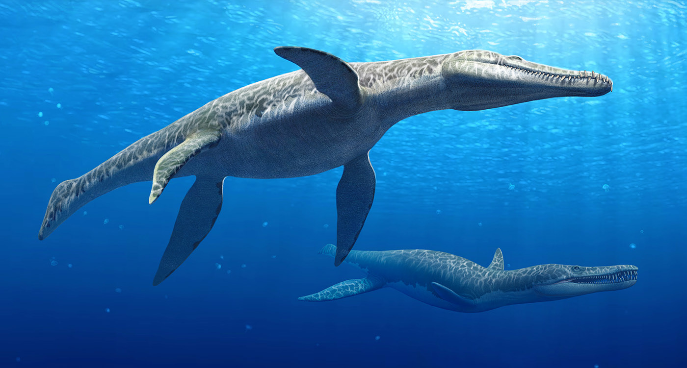 Эволюция жизни в океане — Изображение №23 — Иллюстрация на Dprofile