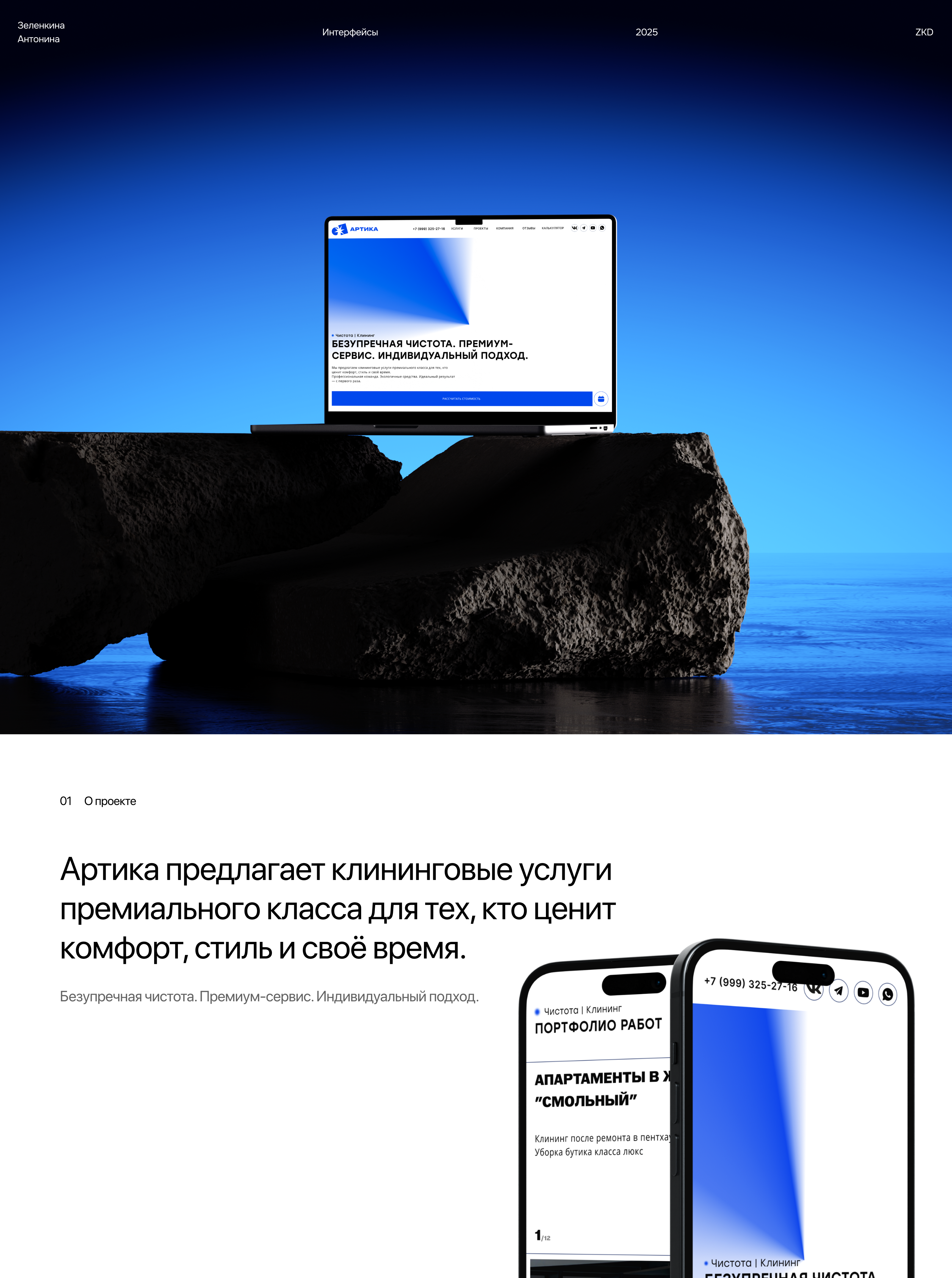 Артика | Клининговая компания — Изображение №1 — Интерфейсы, Брендинг на Dprofile