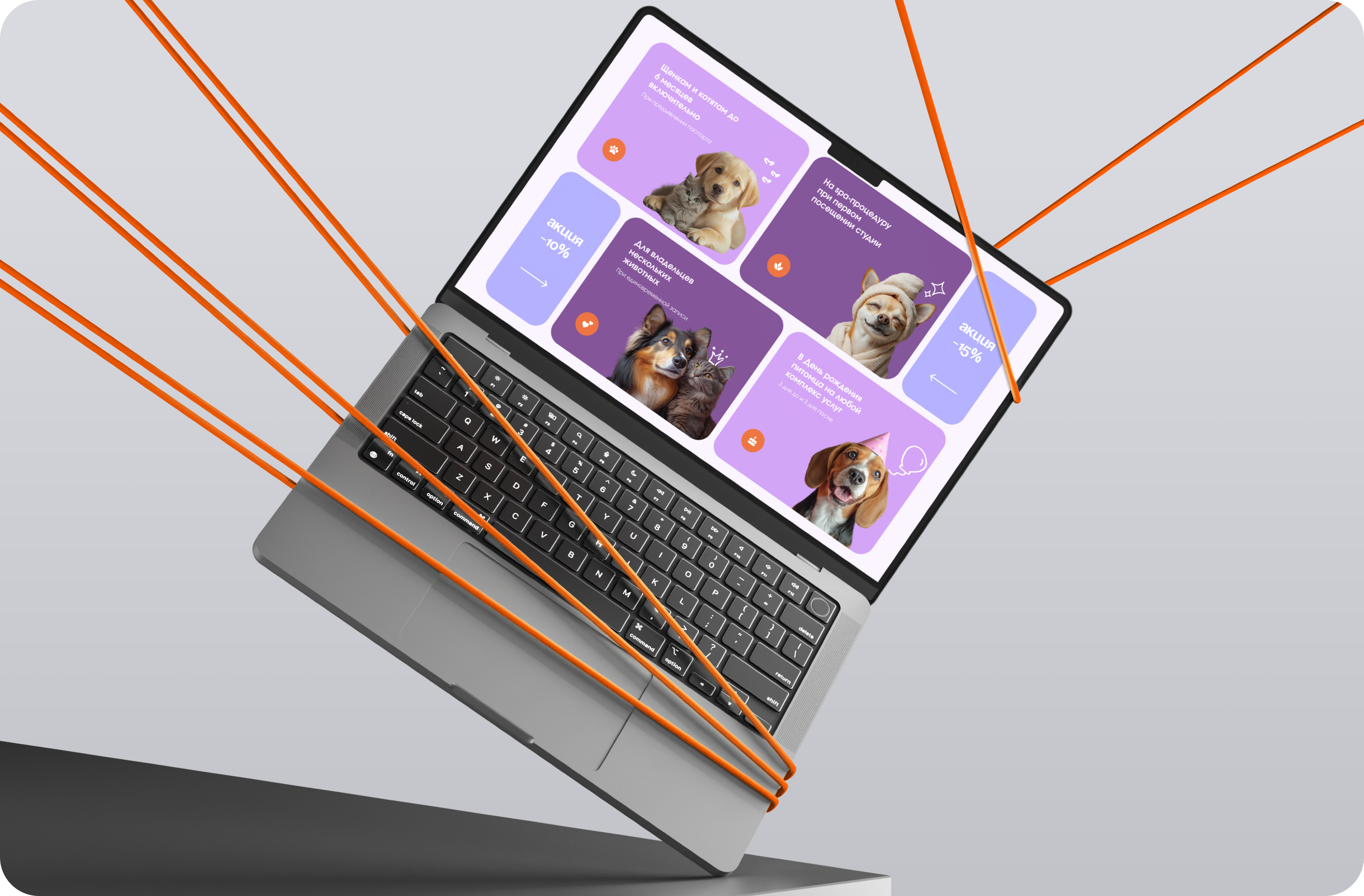 Студия груминга для животных | Pet grooming studio — Изображение №6 — Интерфейсы на Dprofile