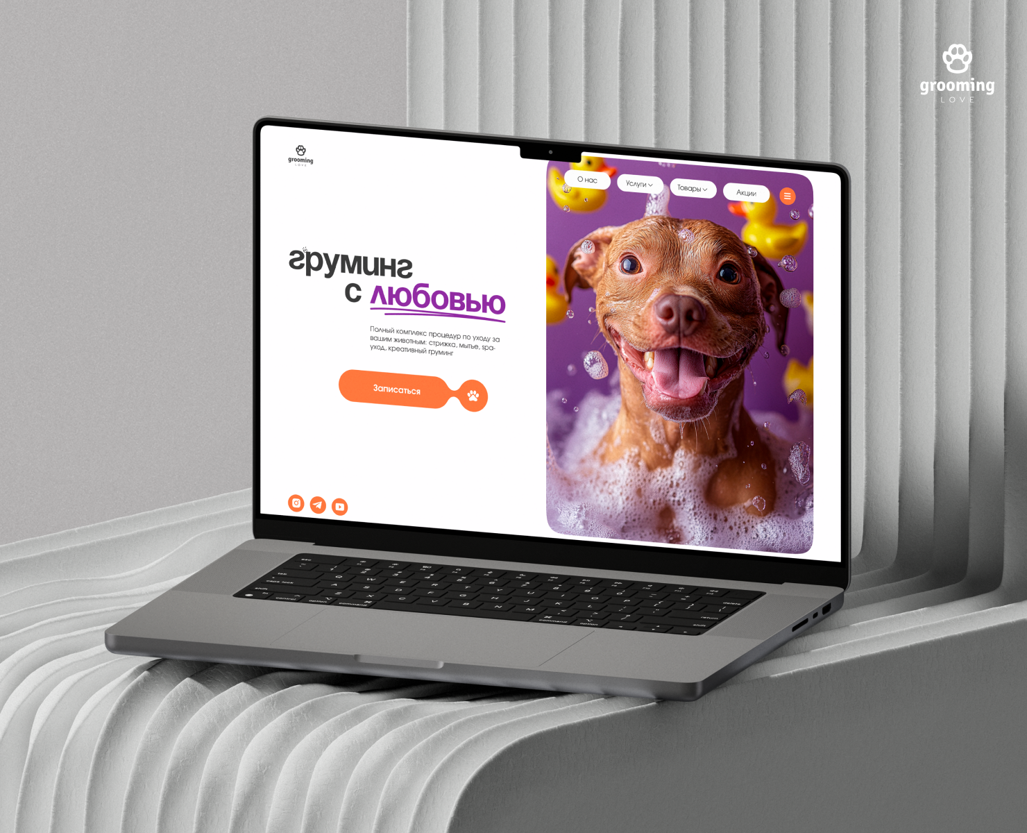 Студия груминга для животных | Pet grooming studio на Dprofile