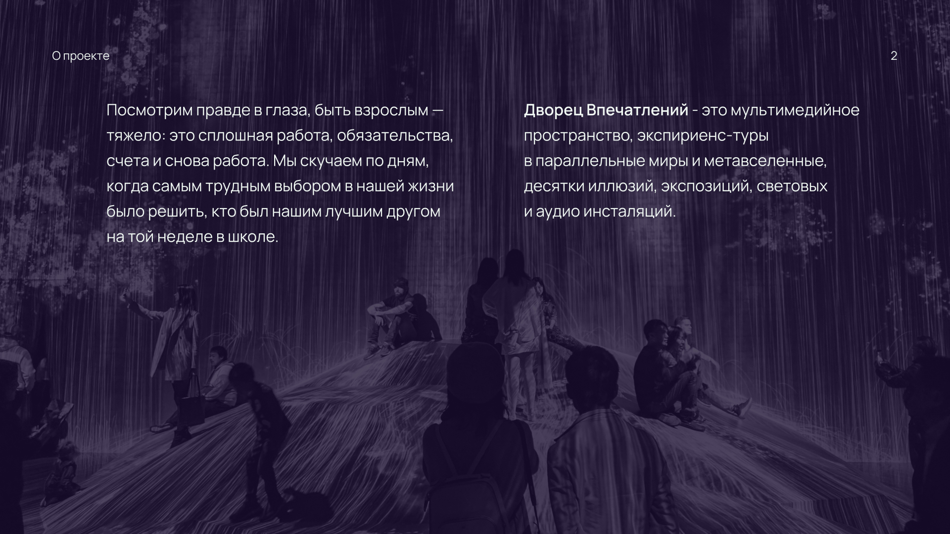 Дворец Впечатлений | Логотип — Изображение №2 — Брендинг, Графика на Dprofile