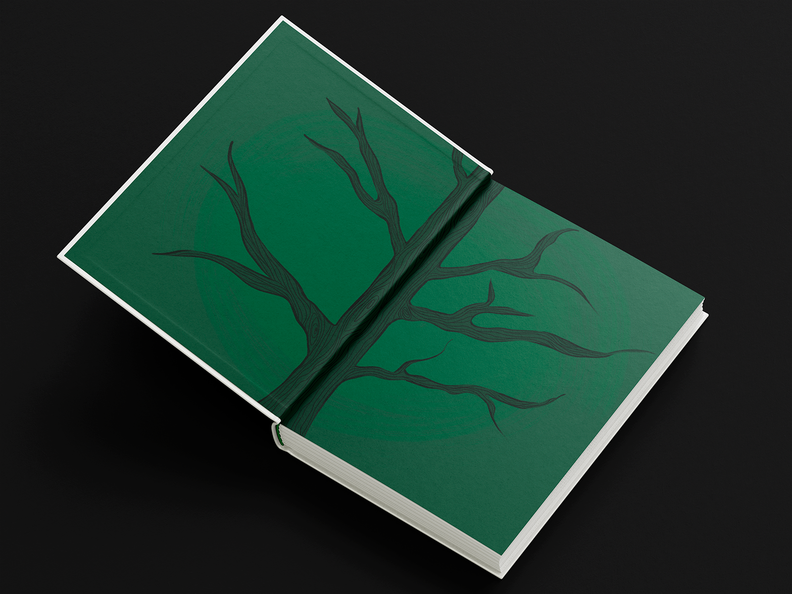 Книжная иллюстрация. Вёрстка. Книга "Дом странных детей" — Изображение №4 — Иллюстрация, Графика на Dprofile