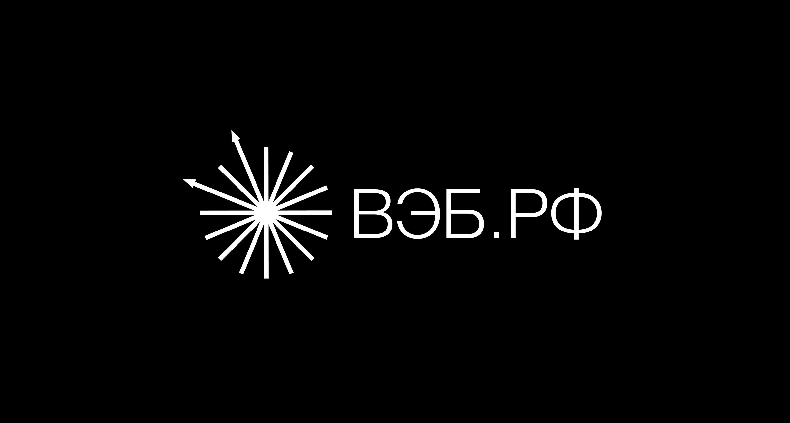Logo & VISUAL IDENTITY | VEB.RF — Изображение №4 — Брендинг, Анимация на Dprofile