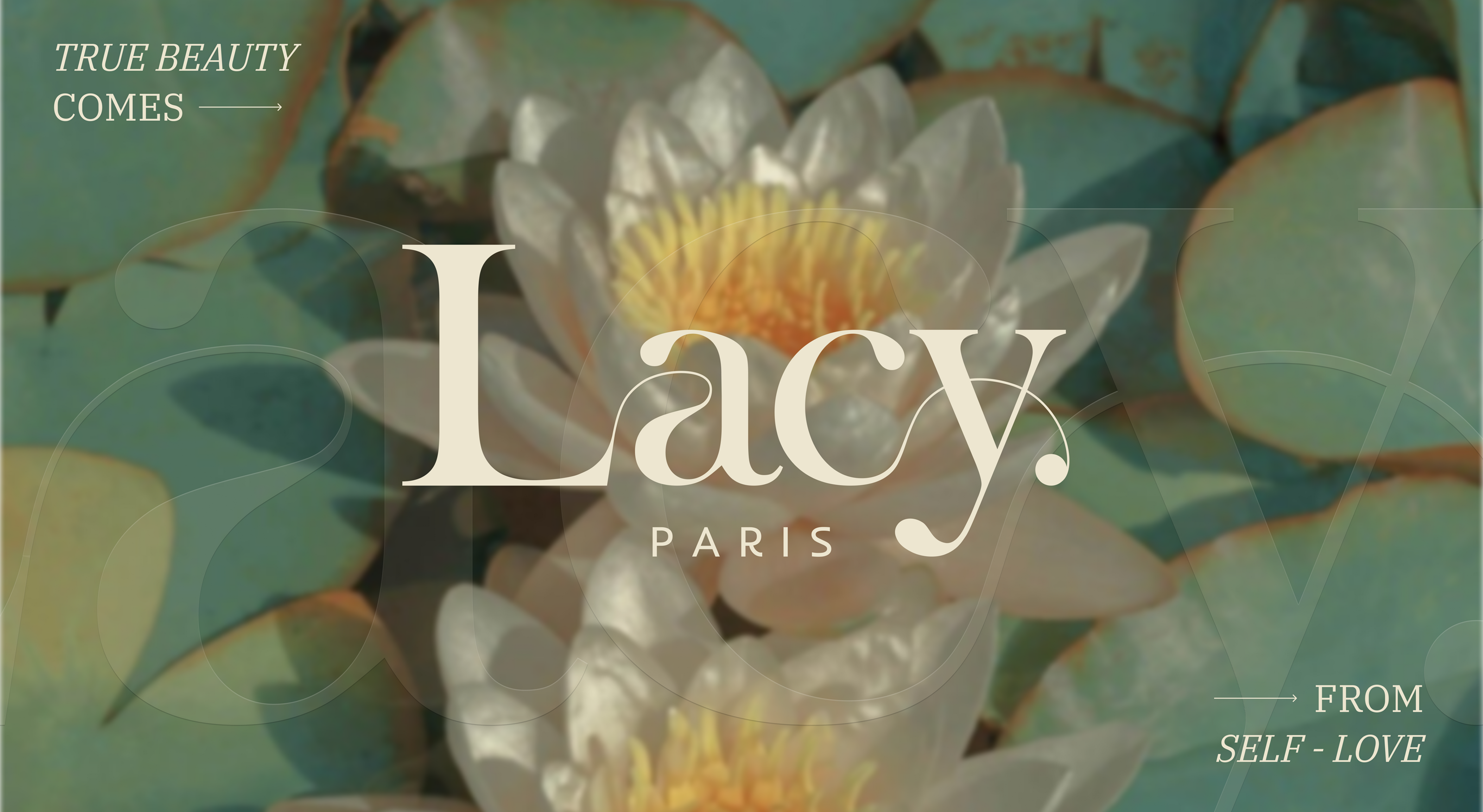 LACY SKINCARE / Фирменный стиль для компании уходовой косметики — Изображение №1 — Брендинг на Dprofile