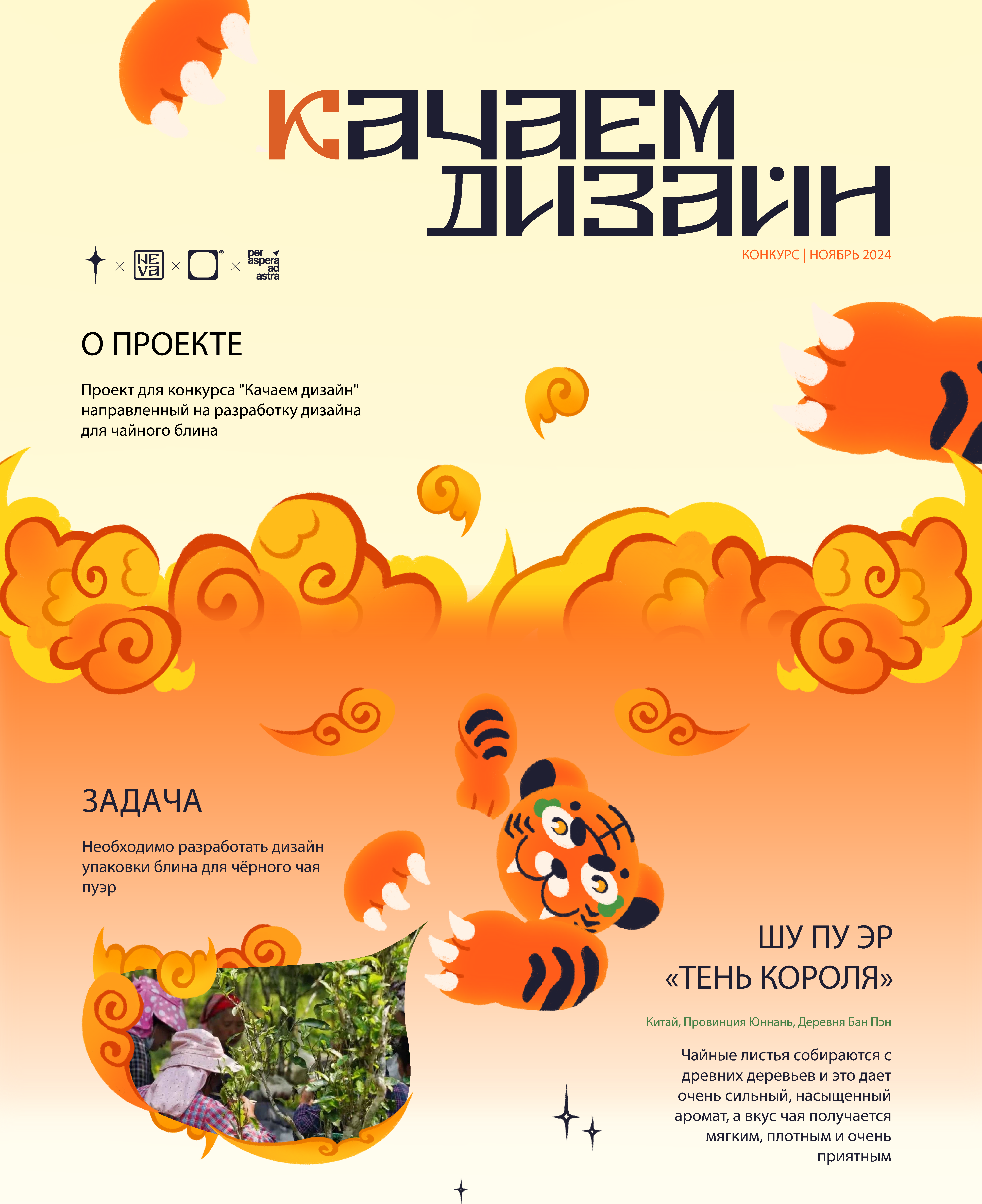 Дизайн упаковки блина для чая ШУ ПУ ЭР — Изображение №1 — Брендинг, Графика на Dprofile