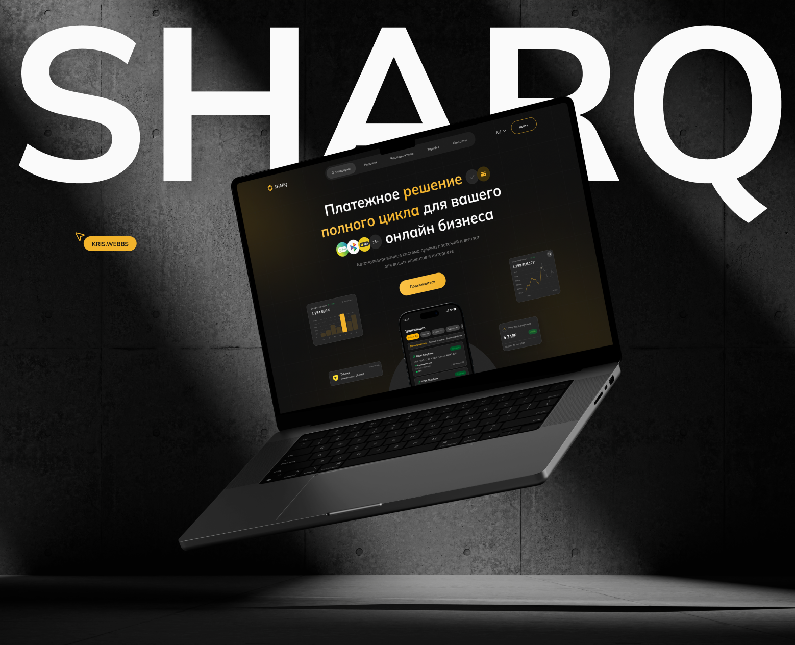 Online Payment Service Website Design на Dprofile