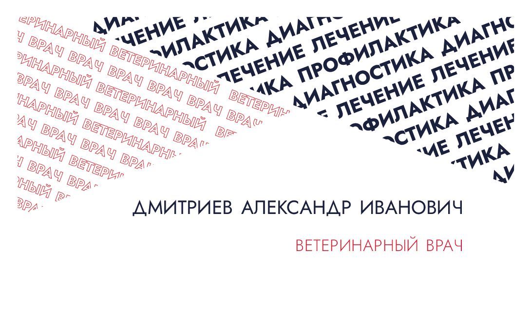 Визитки для ветеринарного врача — Изображение №12 — Брендинг, Графика на Dprofile