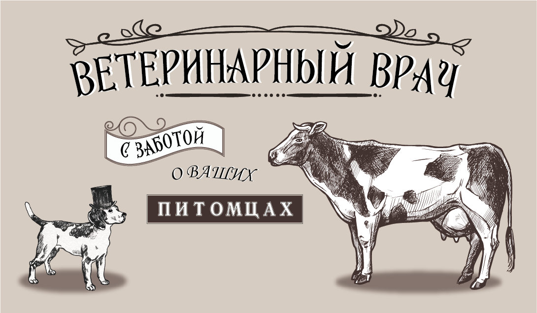 Визитки для ветеринарного врача — Изображение №6 — Брендинг, Графика на Dprofile