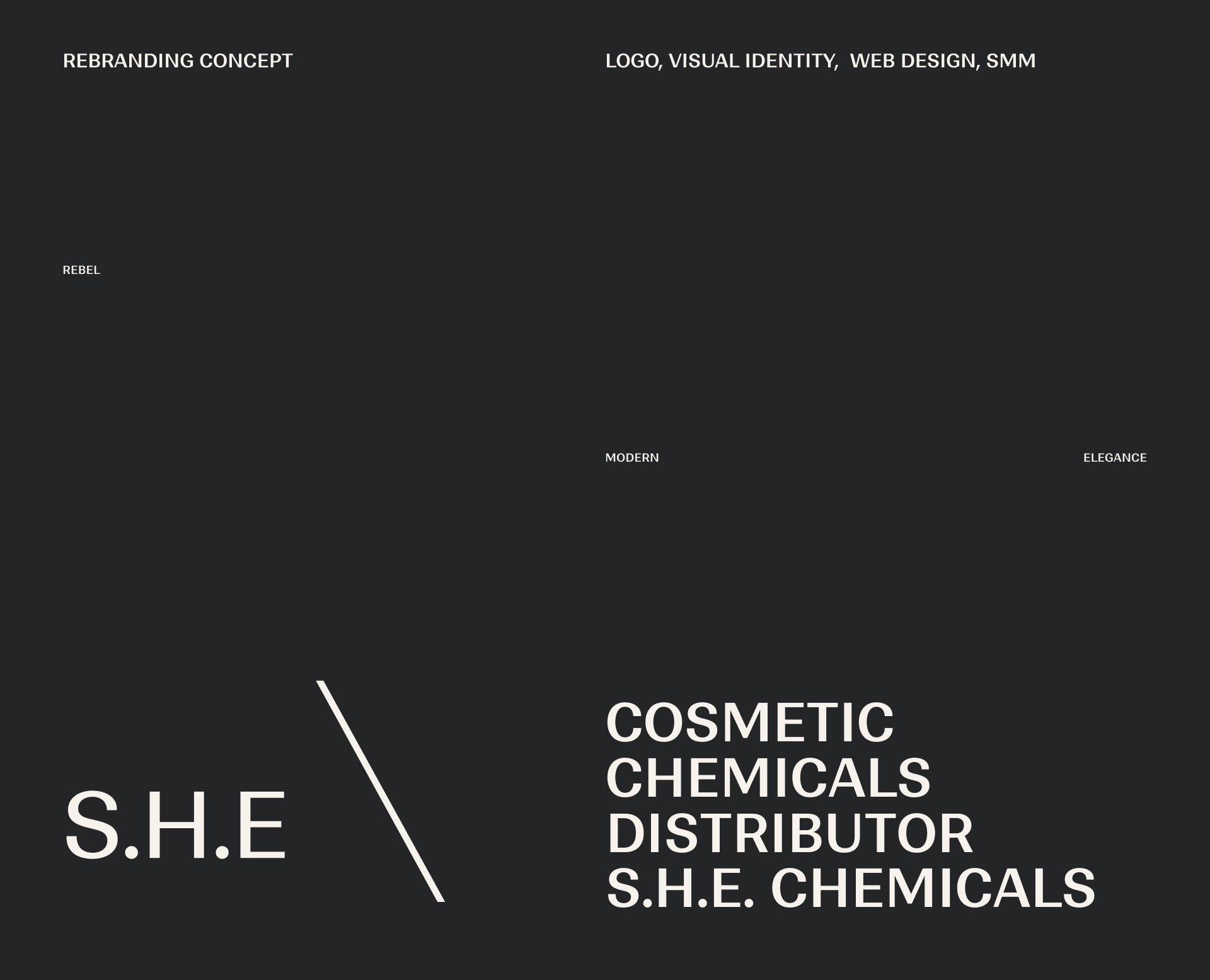 S.H.E The Chemical Distributor — Branding Concept — Брендинг на Dprofile