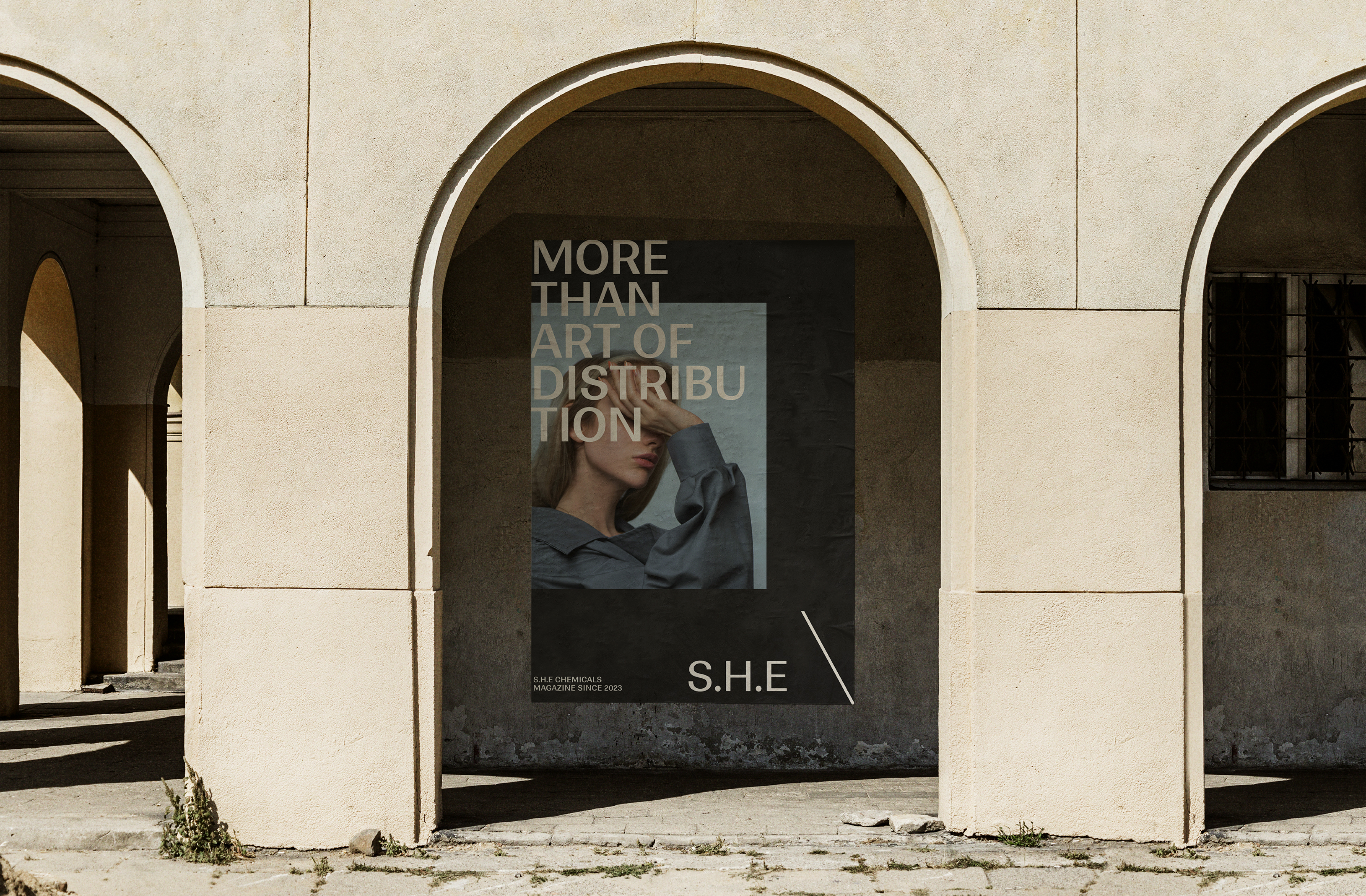 S.H.E The Chemical Distributor — Branding Concept — Изображение №22 — Брендинг на Dprofile