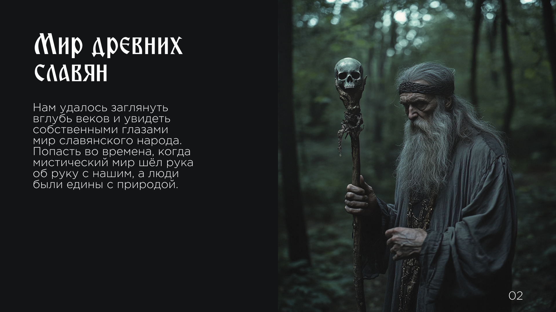 Славянский мистиккор — Изображение №2 — Брендинг, Иллюстрация на Dprofile