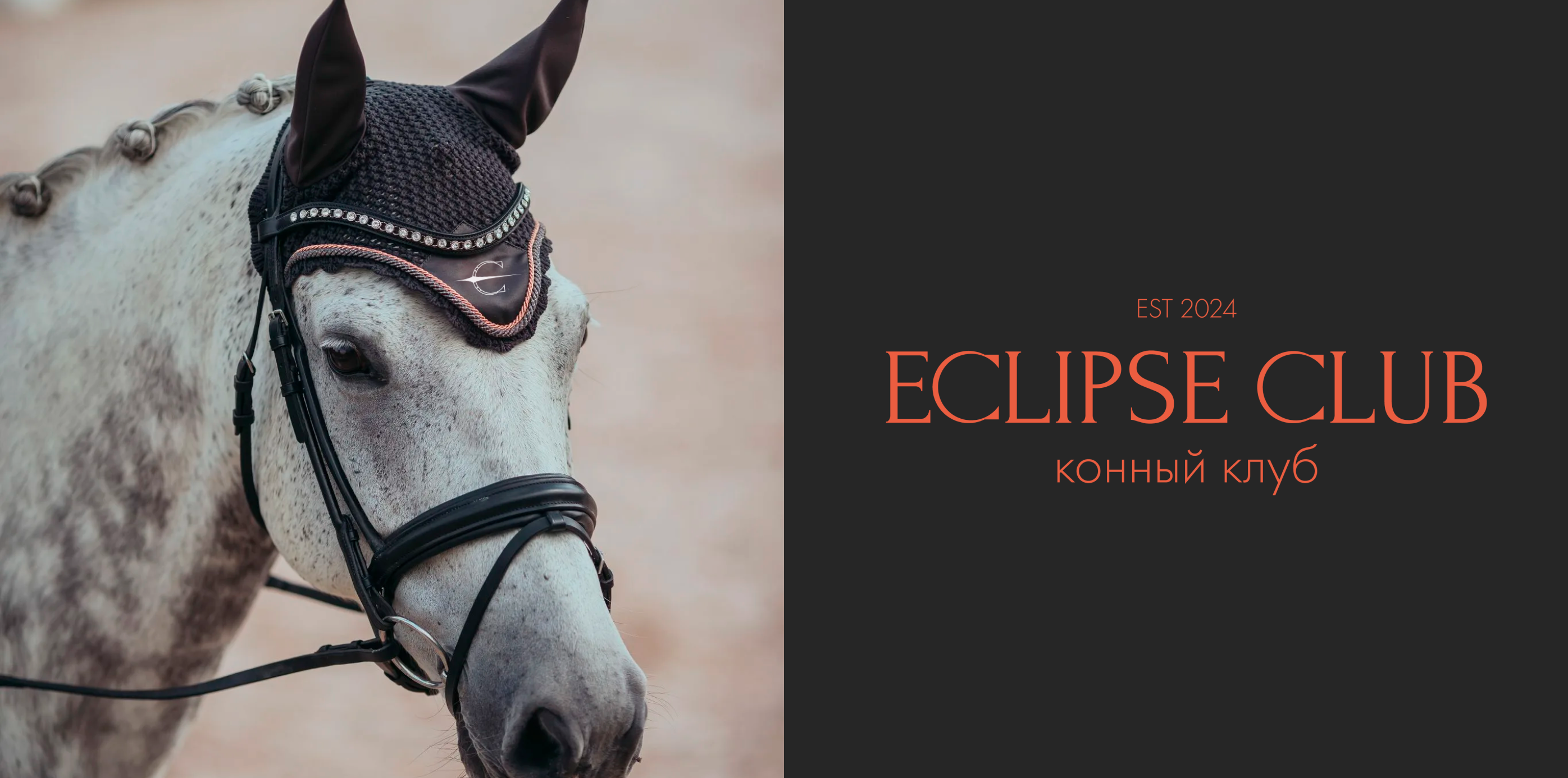 ECLIPSE CLUB | ФИРМЕННЫЙ СТИЛЬ | КОННЫЙ КЛУБ | ЛОГОТИП — Изображение №6 — Брендинг на Dprofile