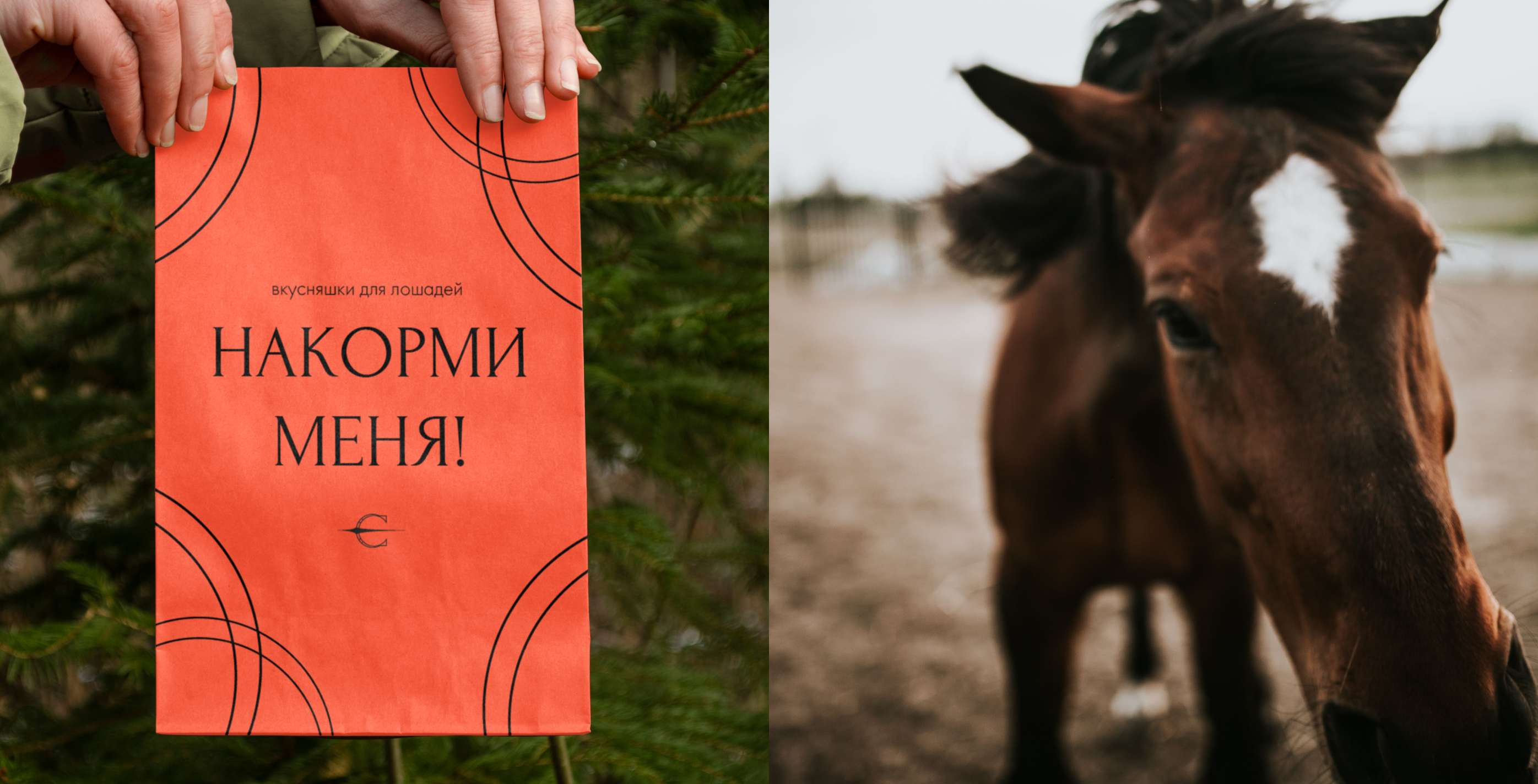 ECLIPSE CLUB | ФИРМЕННЫЙ СТИЛЬ | КОННЫЙ КЛУБ | ЛОГОТИП — Изображение №11 — Брендинг на Dprofile