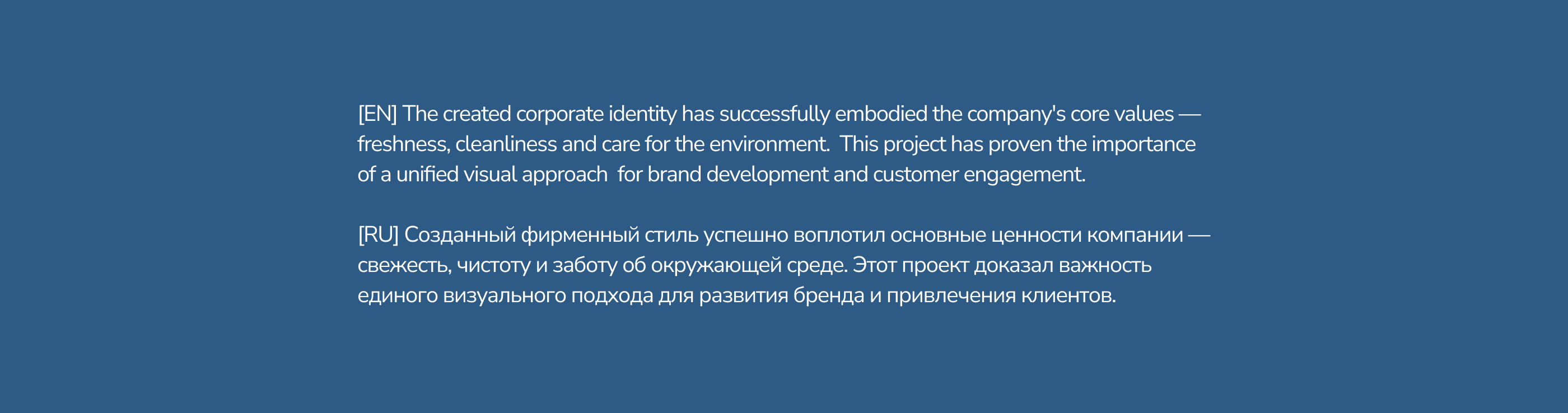 ФИРМЕННЫЙ СТИЛЬ | CLEANING COMPANY — Изображение №17 — Брендинг на Dprofile