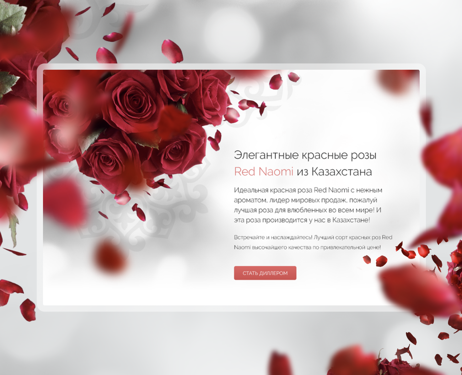 Логотипы и дизайн сайта для двух цветочных компаний — Интерфейсы, Брендинг на Dprofile