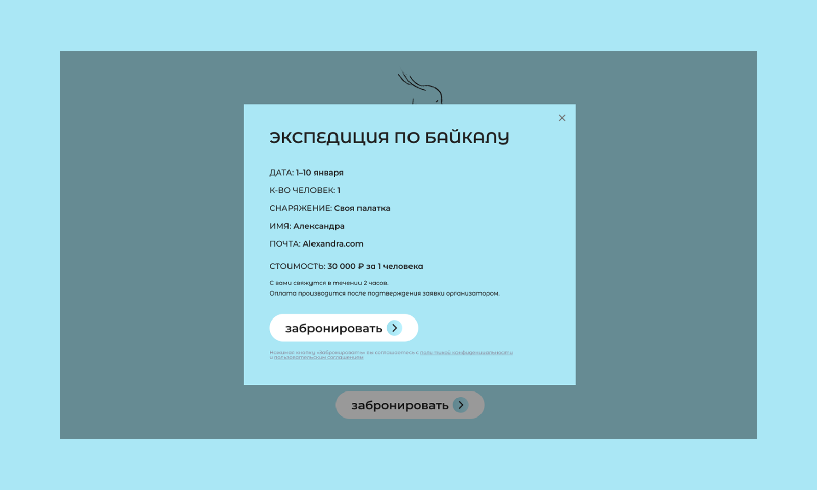 Лендинг туристической компании — Изображение №5 — Интерфейсы, Иллюстрация на Dprofile