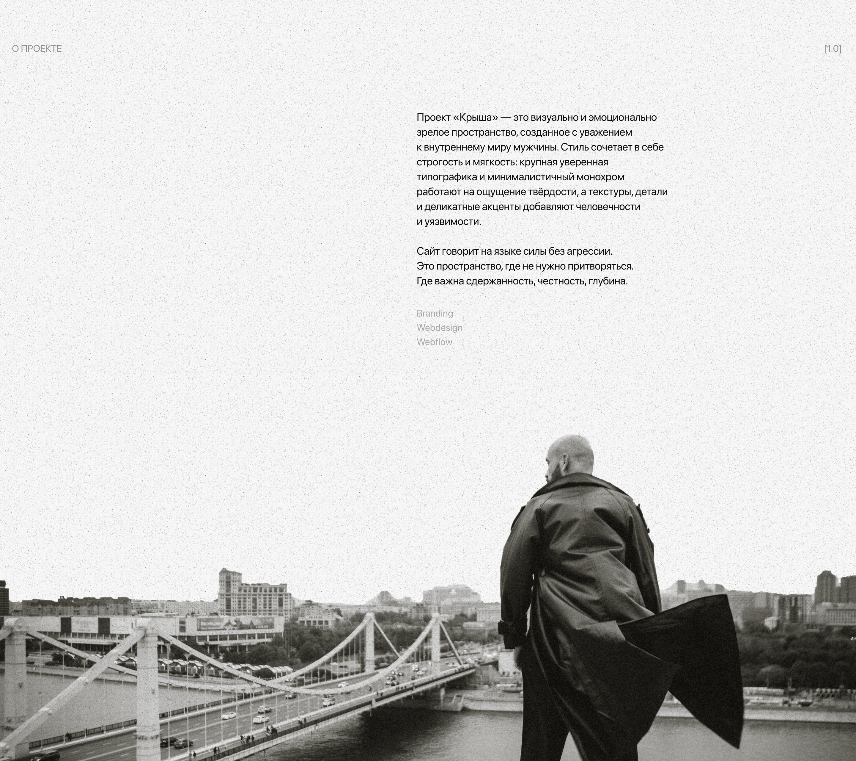 Крыша — Изображение №2 — Интерфейсы, Брендинг на Dprofile